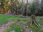 Rif. Alpe Cantedoldo (1500 m) dal Ponte dell’acqua via Gambetta -11 settembre 2023- FOTOGALLERY